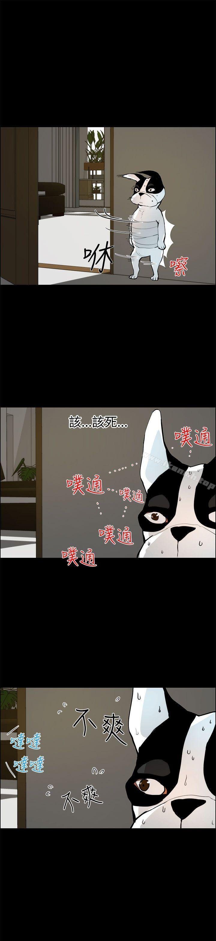 变成狗的男人 第11页