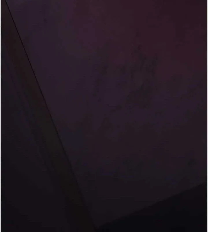 夜间诊疗室 第17页