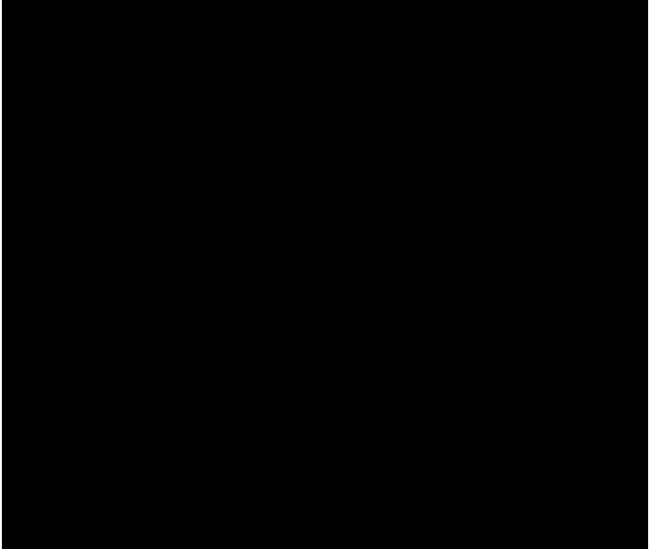 85.jpg