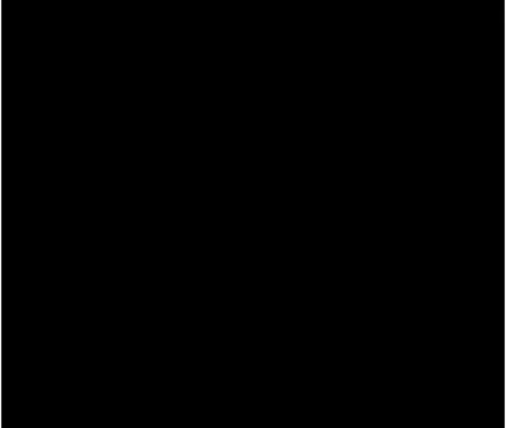 125.jpg