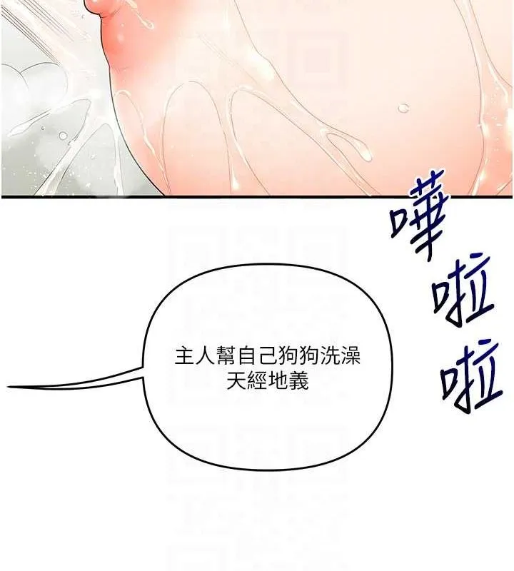 106.jpg