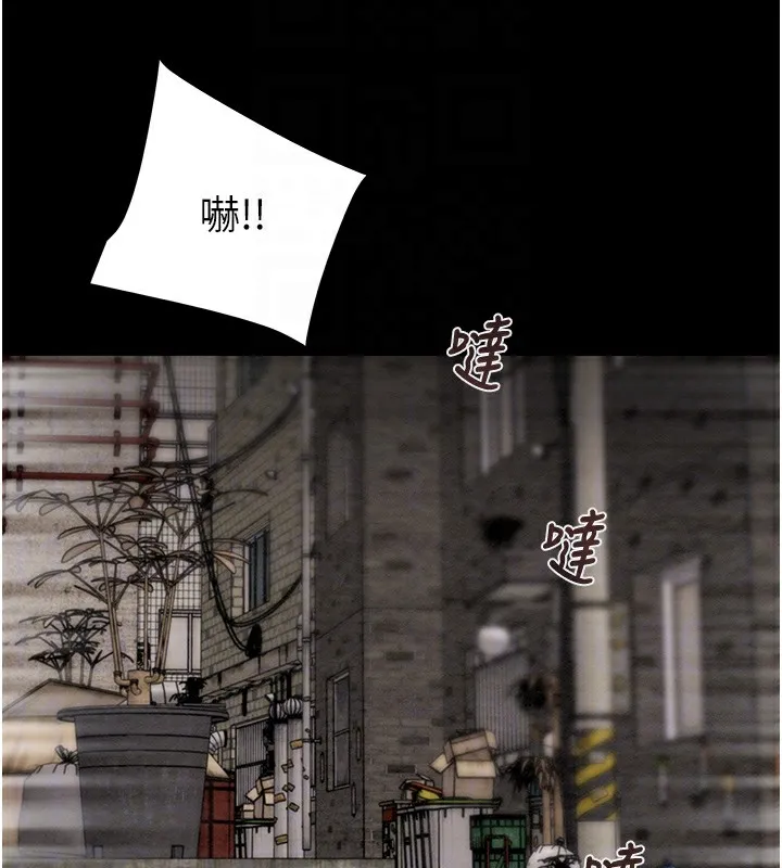 掠夺行动 第115页