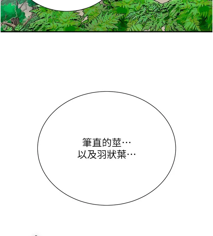 花容湿色:取花点 第118页