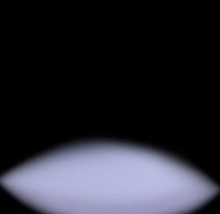 155.jpg