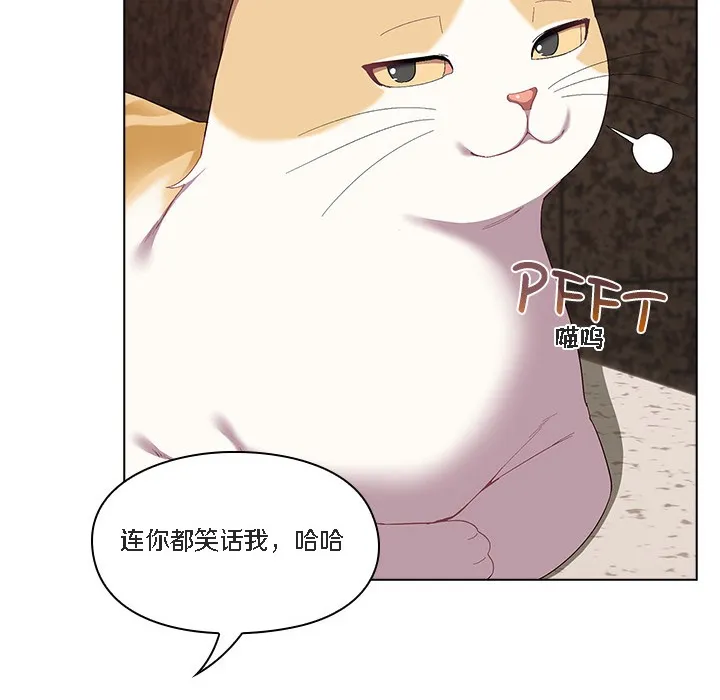 猫猫牵红线 第72页