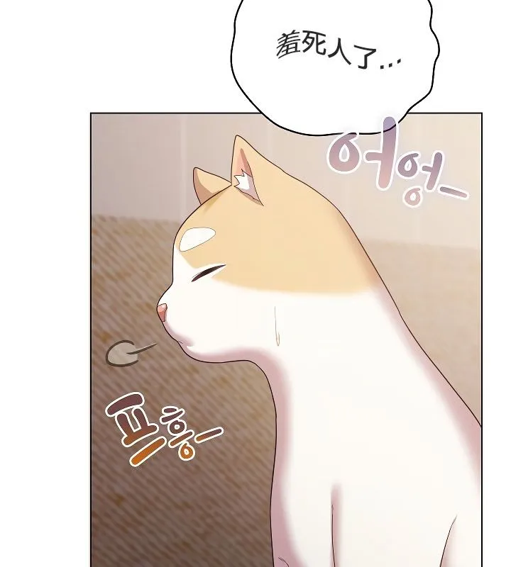 猫猫牵红线 第114页