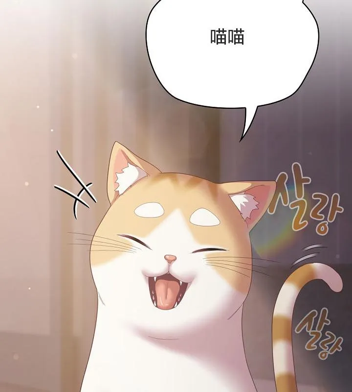 猫猫牵红线 第6页