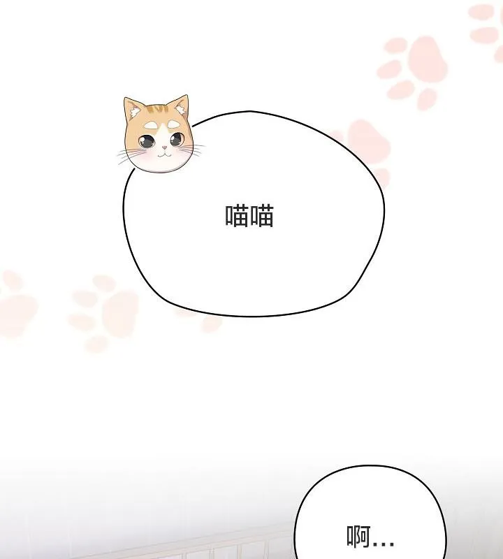 猫猫牵红线 第8页