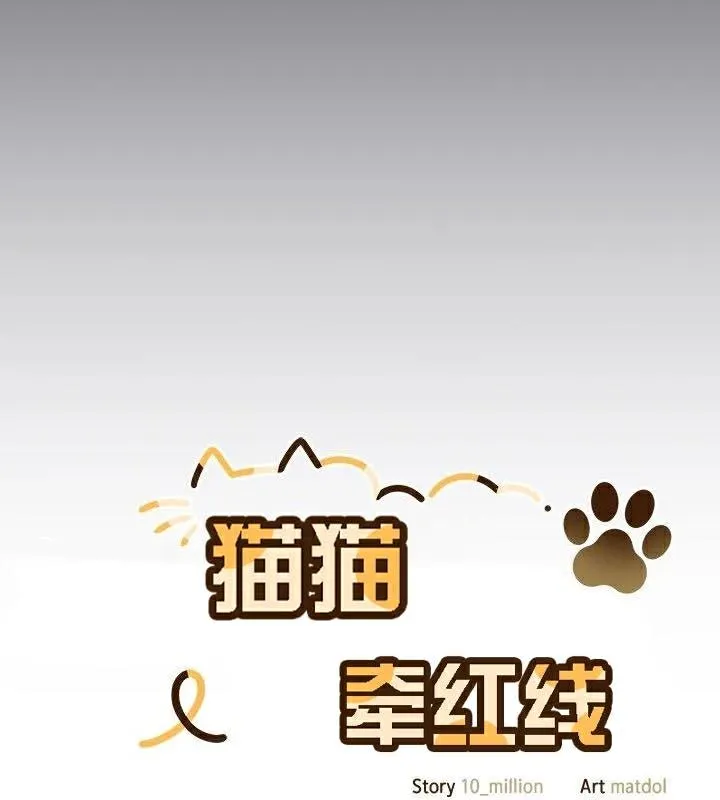 猫猫牵红线 第48页