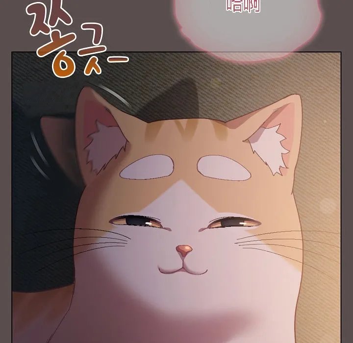 猫猫牵红线 第11页