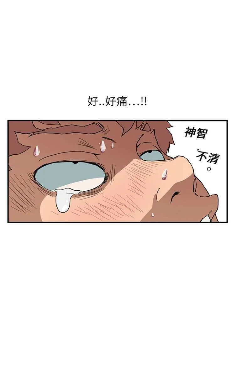 继母 第19页