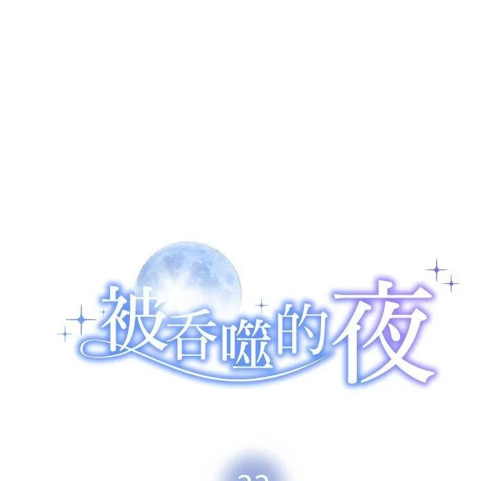 被吞噬的夜 第13页