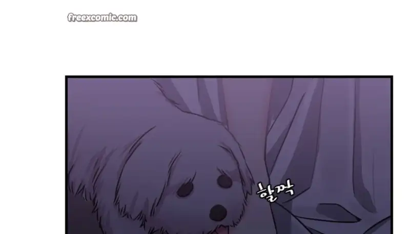 情趣绳子 第255页