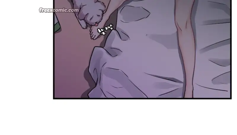 情趣绳子 第259页
