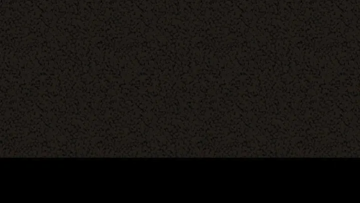 213