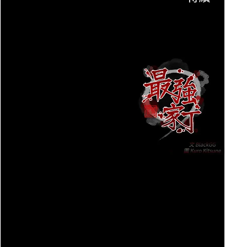 最强家丁 第213页