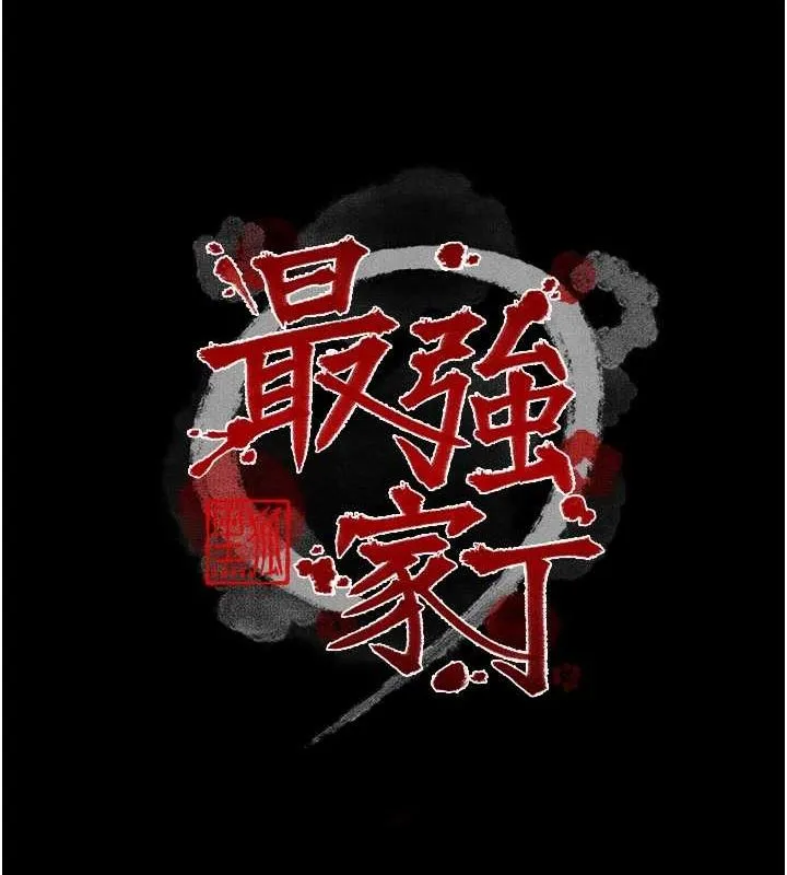 最强家丁 第13页