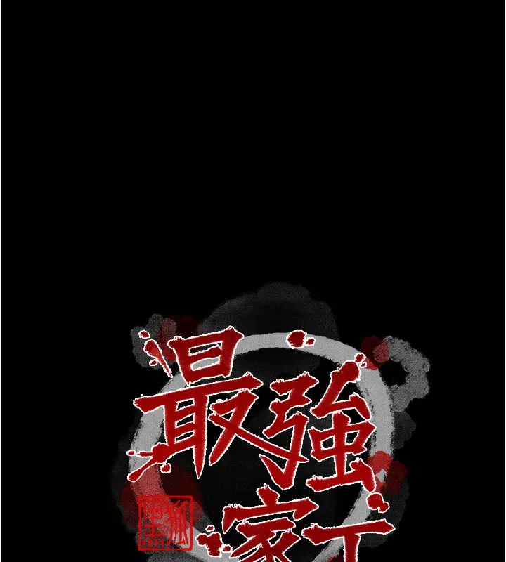最强家丁 第17页