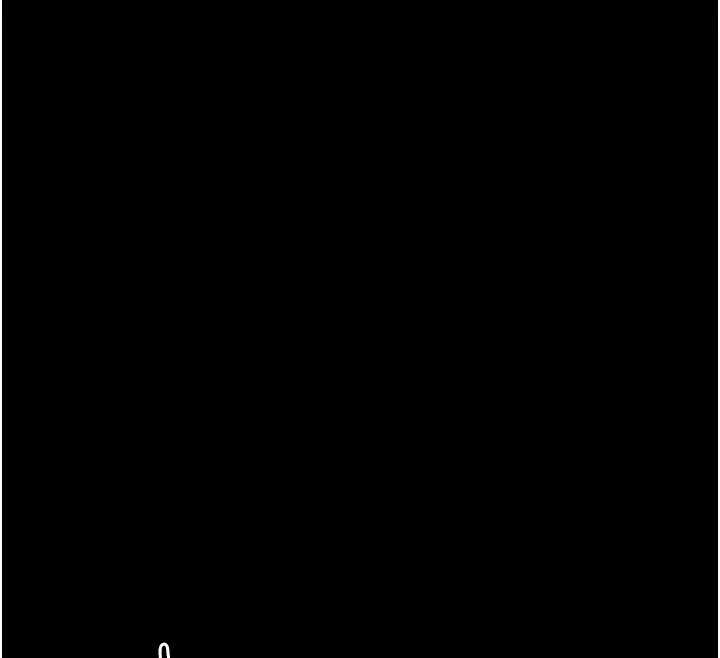 146.jpg