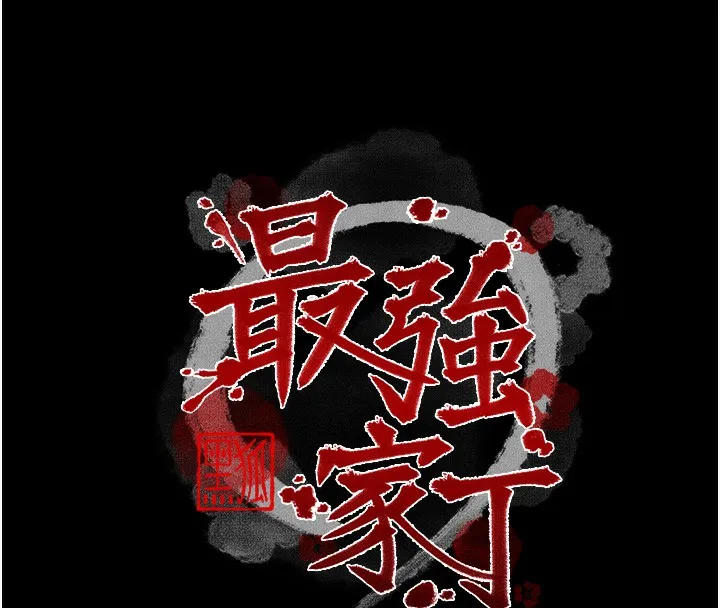 最强家丁 第16页