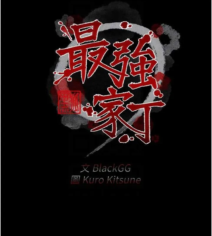 最强家丁 第20页